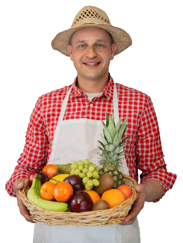 EV Fresh Fruit and Veg Boxes in Scotland
