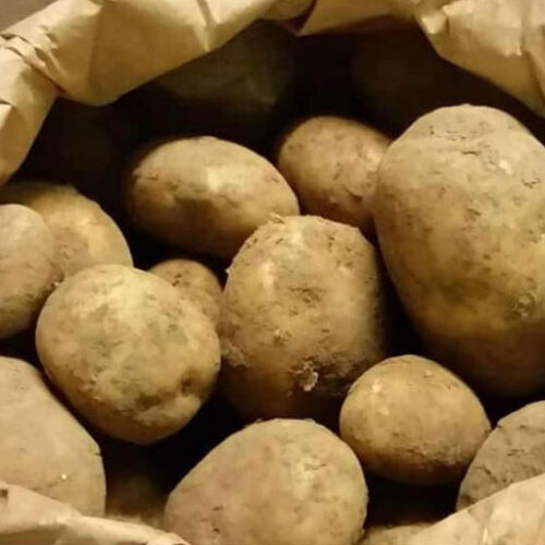 Potatoes ,Maris Piper' 25Kg