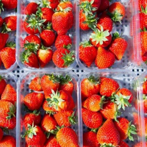 Scottish Strawberries 400g