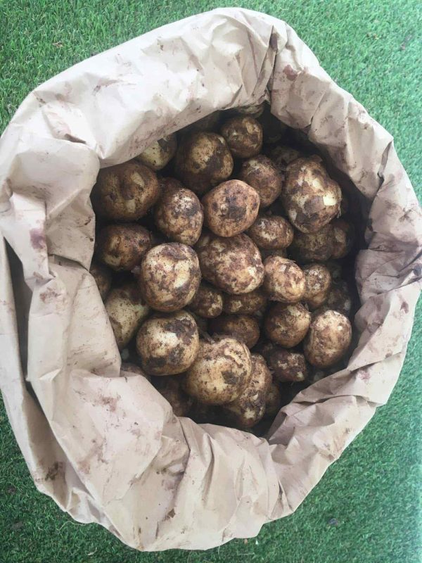 Potatoes ,Maris Piper' 25Kg Bag