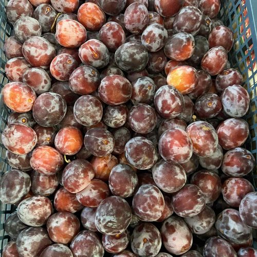 Plums