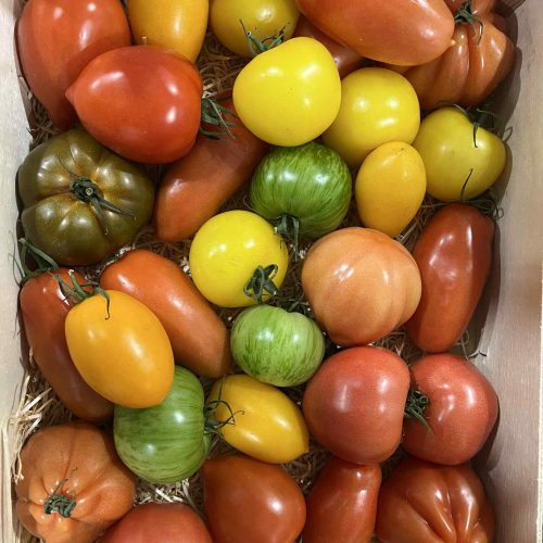 Heritage Tomatoes 1Kg