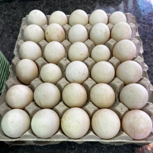 30 Duck Eggs